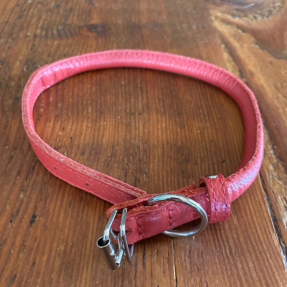 NWOT Rolled Leather Dog Collar in Red, Collar Direct